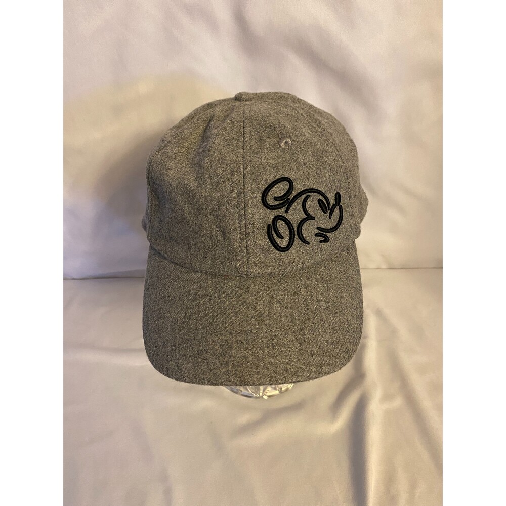 DISNEY PARKS Gray Wool Cap